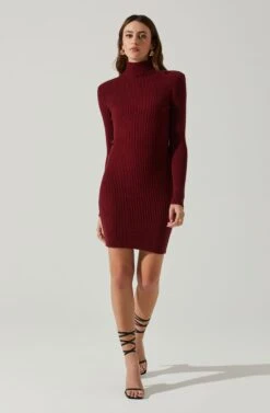 Gwendolyn Turtleneck Sweater Mini Dress 22 Gwendolyn Turtleneck Sweater Mini Dress -Dress Sales Store ACDR100970SH WINE 1