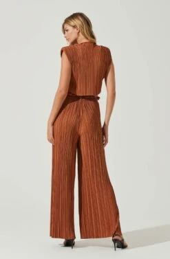 Cruise Pleated Wide Leg Pants 10 Cruise Pleated Wide Leg Pants -Dress Sales Store ACP7230 RUST 3