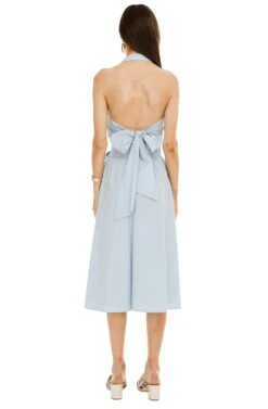 Shayla Midi Skirt 17 Shayla Midi Skirt -Dress Sales Store ACS8079 FRENCH BLUE 03