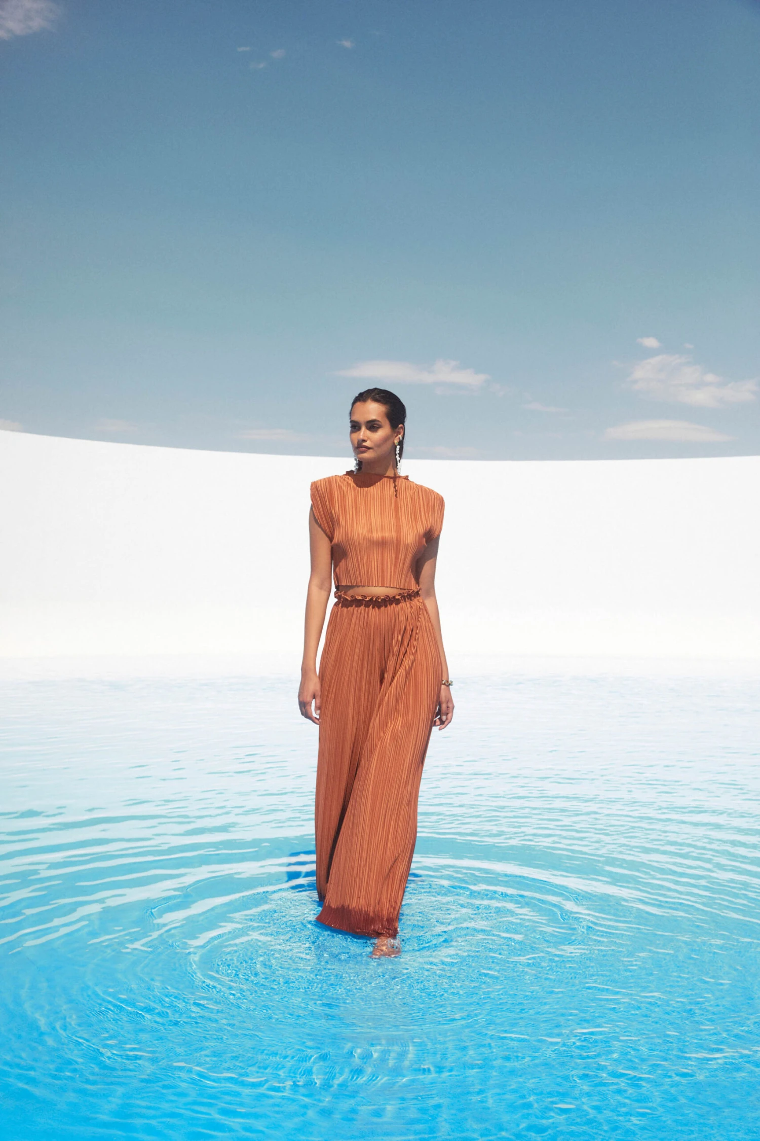 Cruise Pleated Wide Leg Pants 8 Cruise Pleated Wide Leg Pants - Image 6